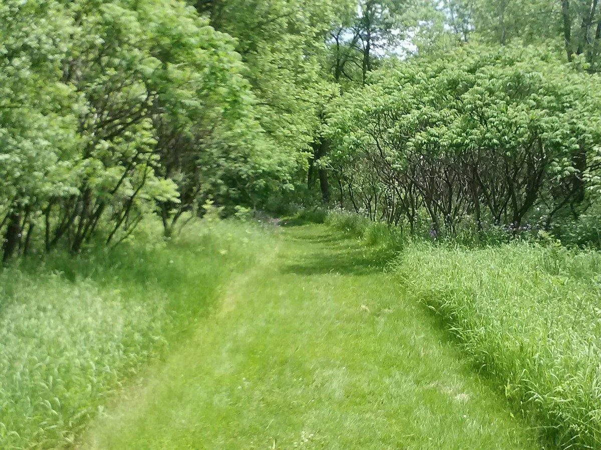 Flandrau State Park