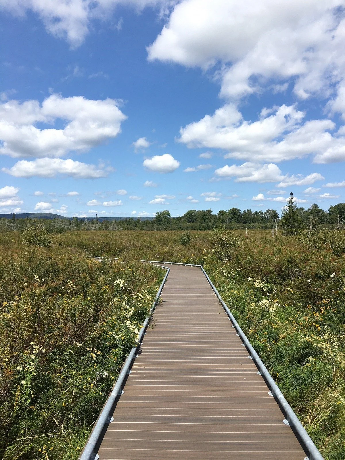 Canaan Valley National Wildlife Refuge