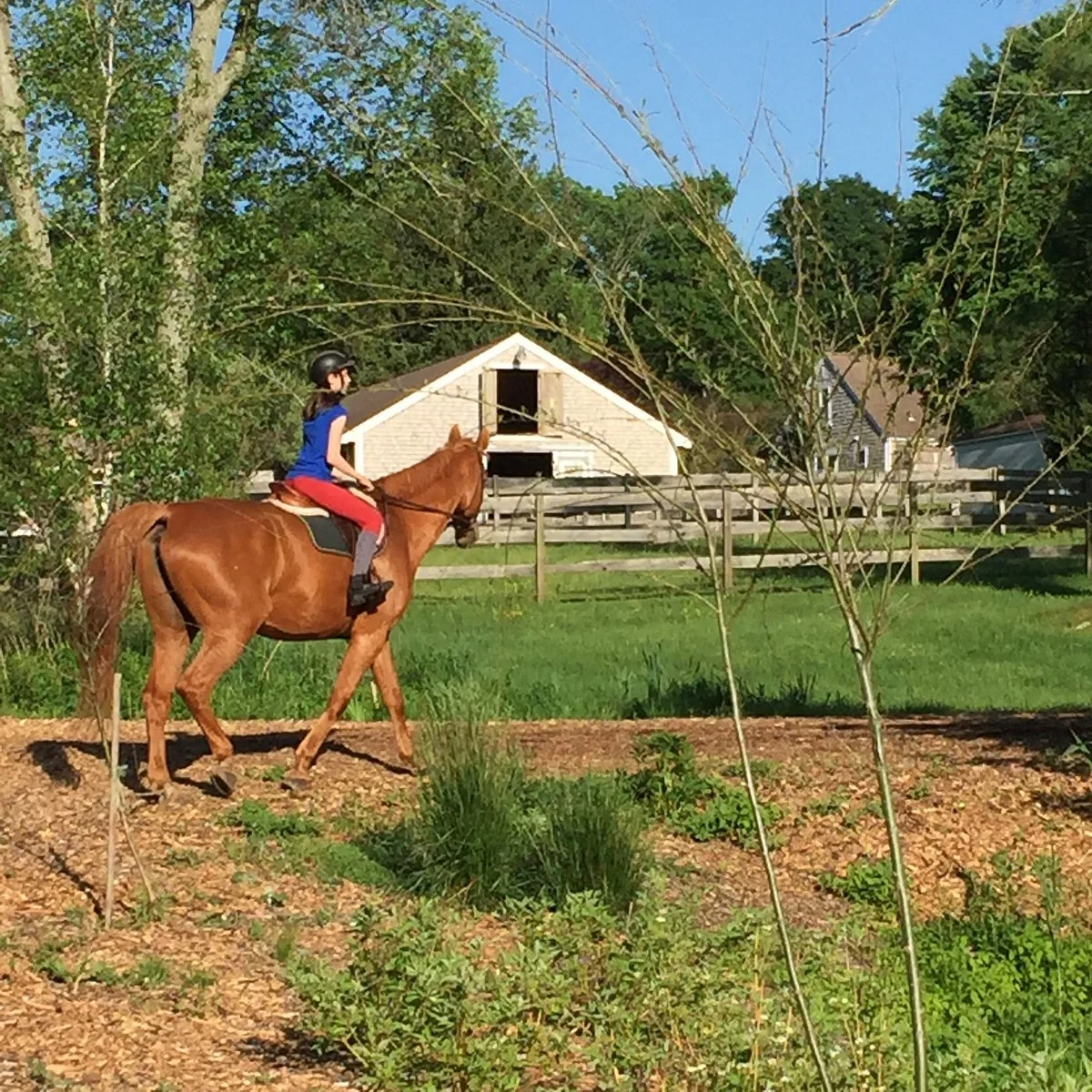 Hidden Hollow Farm