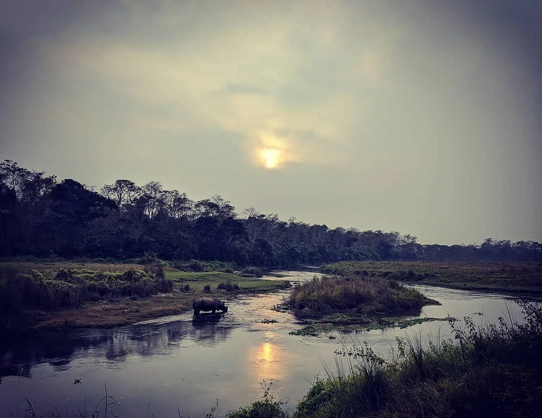 Tiger Residency Resort