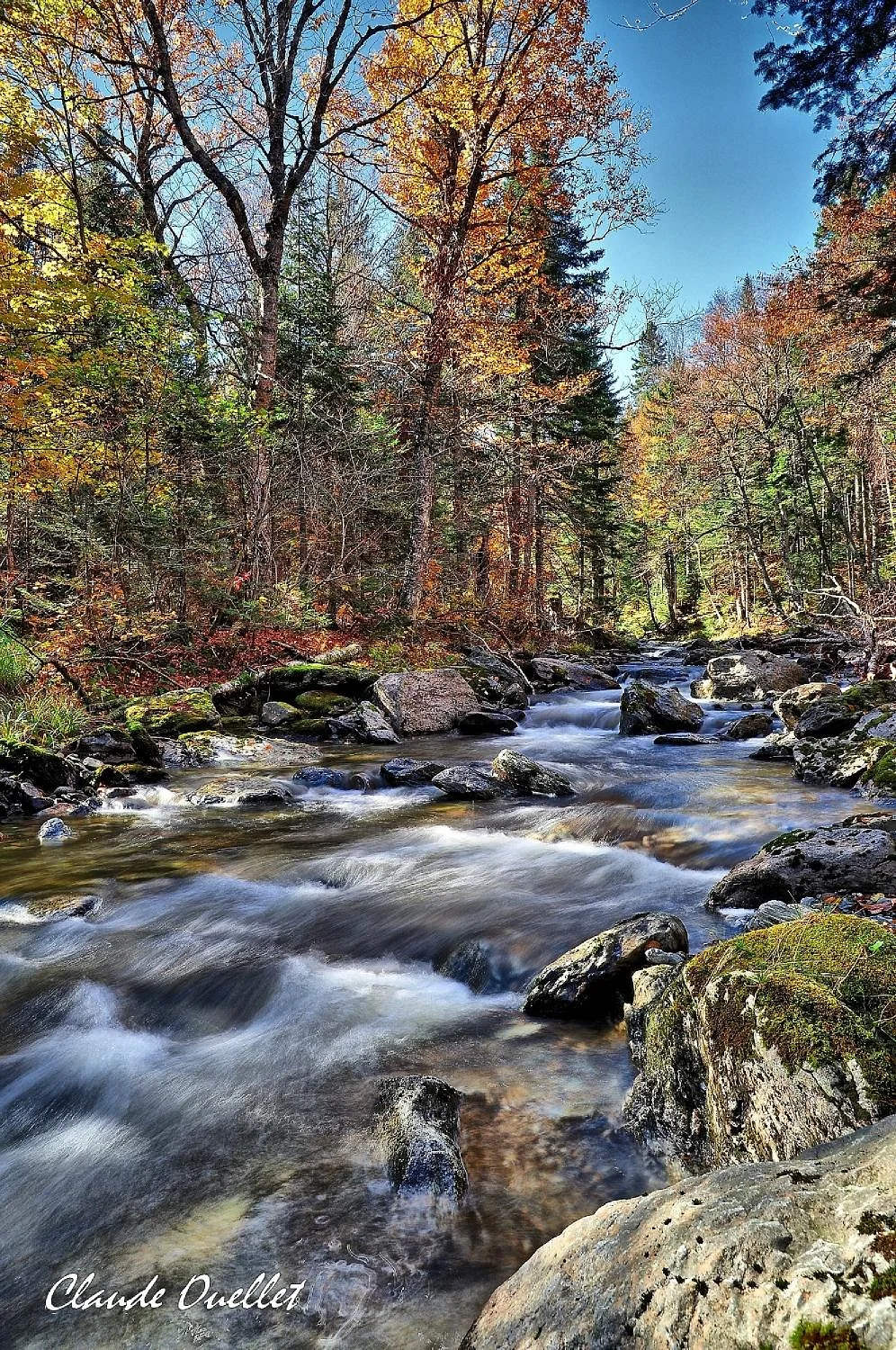Parc du Massif du Sud