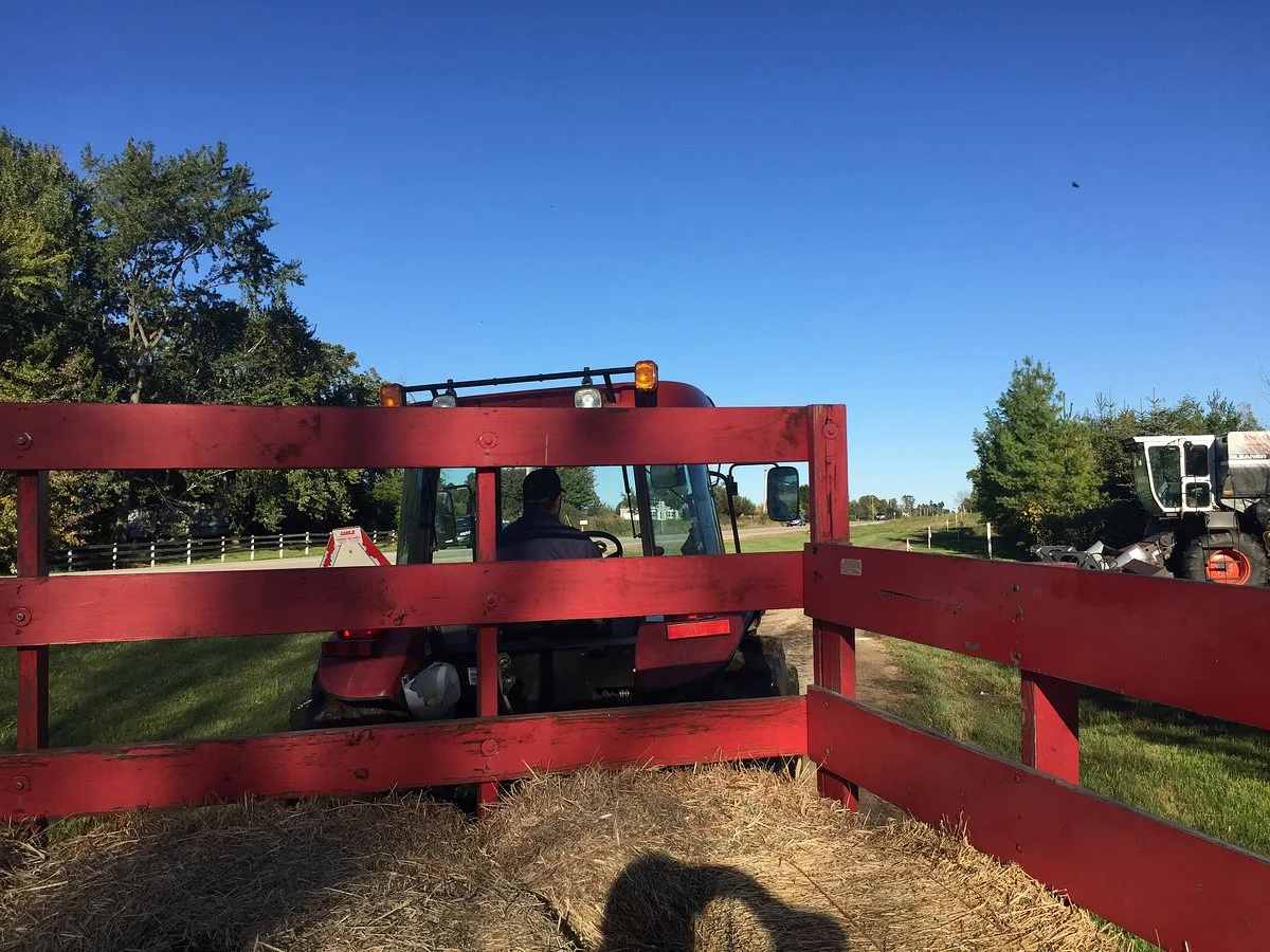 Cedarburg Creek Farm