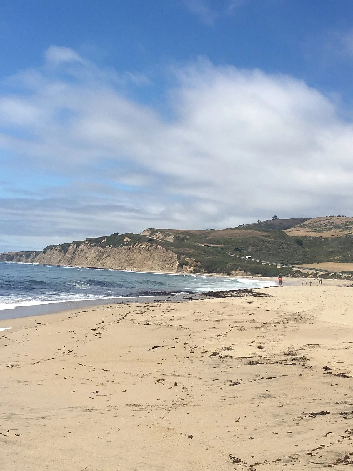 Scott Creek Beach