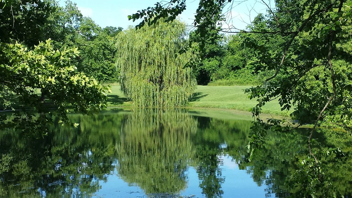 Woodland Mound Park