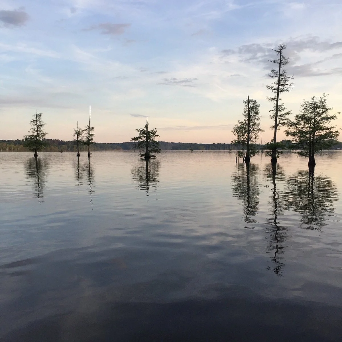 Lake D'Arbonne Louisiana State Park