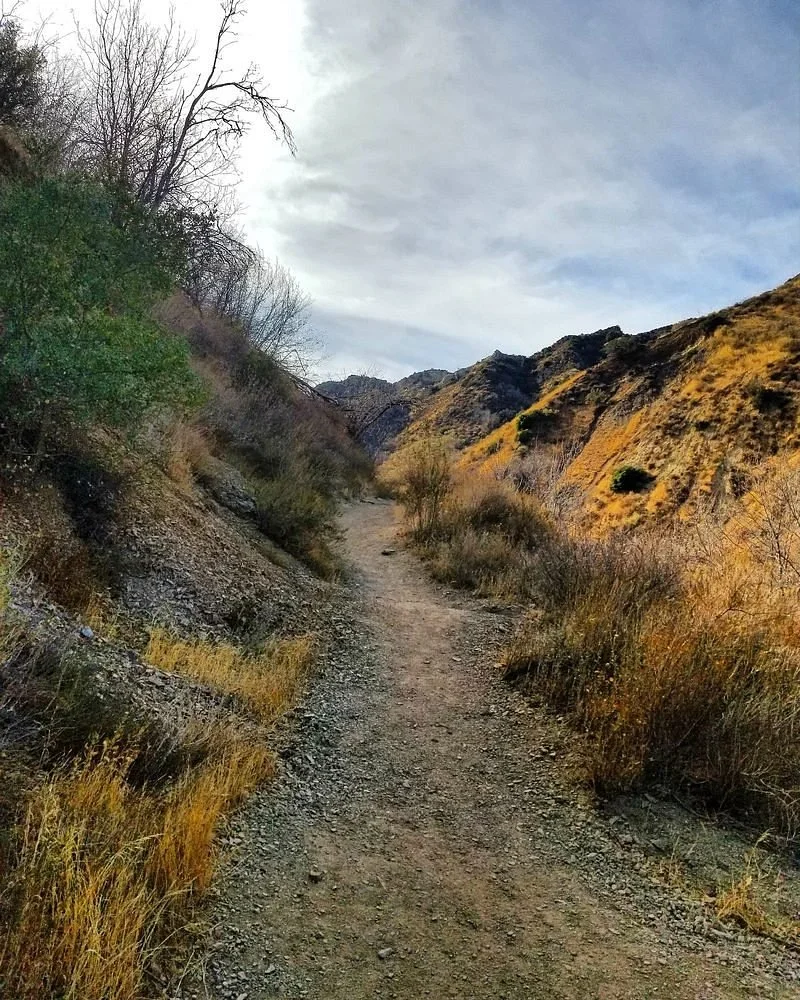 Towsley Canyon Park