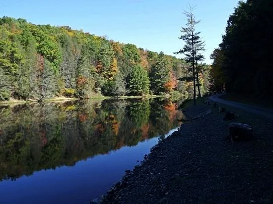 Seneca State Forest