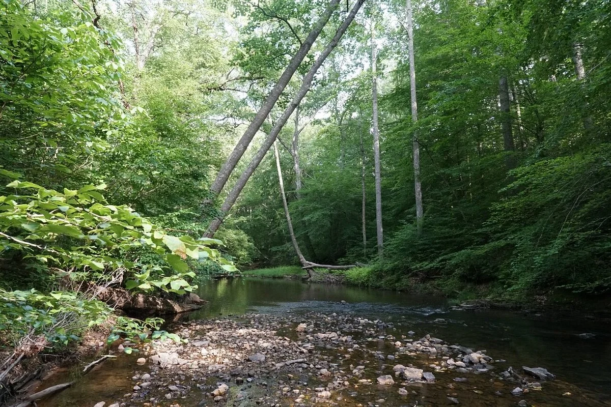 Prince William Forest Park