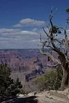 Panther Canyon Trail