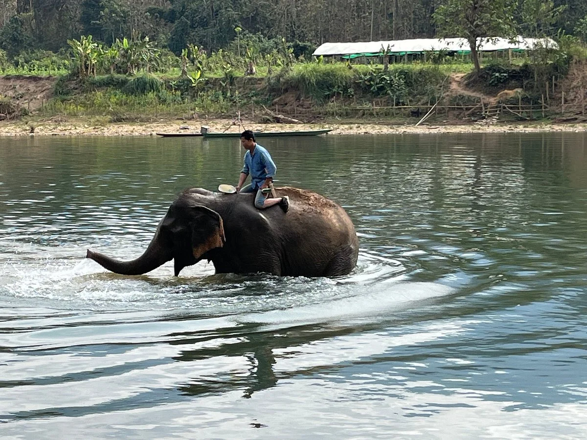 Elephant Adventure Village