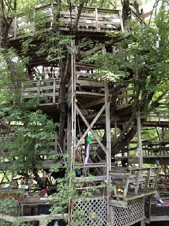 Big Treehouse