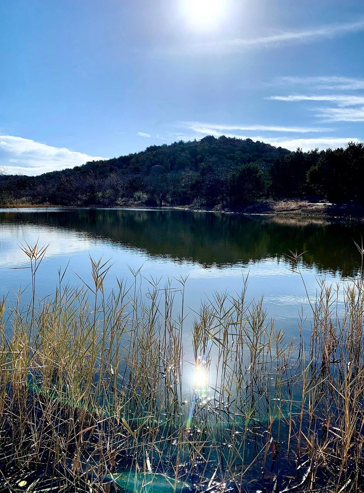 Cedar Ridge Preserve managed by Audubon Dallas.