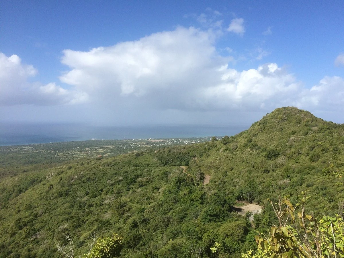 Nelson's Lookout
