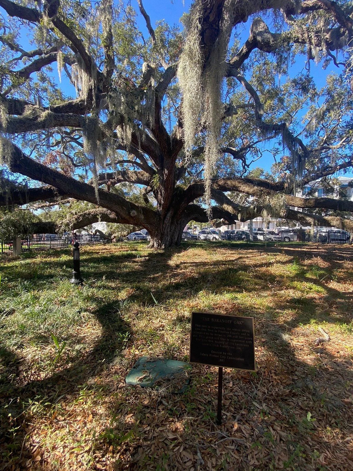 Baranoff Park