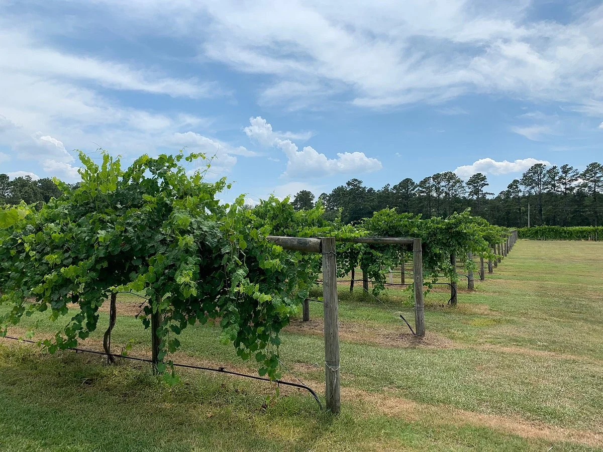 Cypress Bend Vineyards