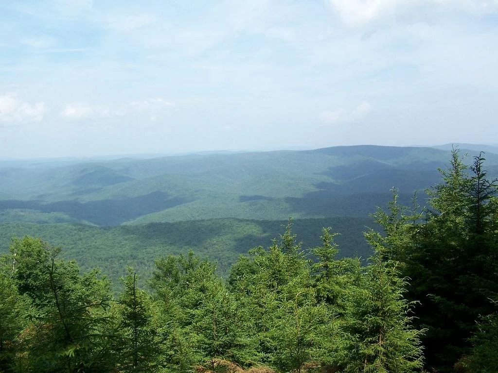 Gaudineer Knob
