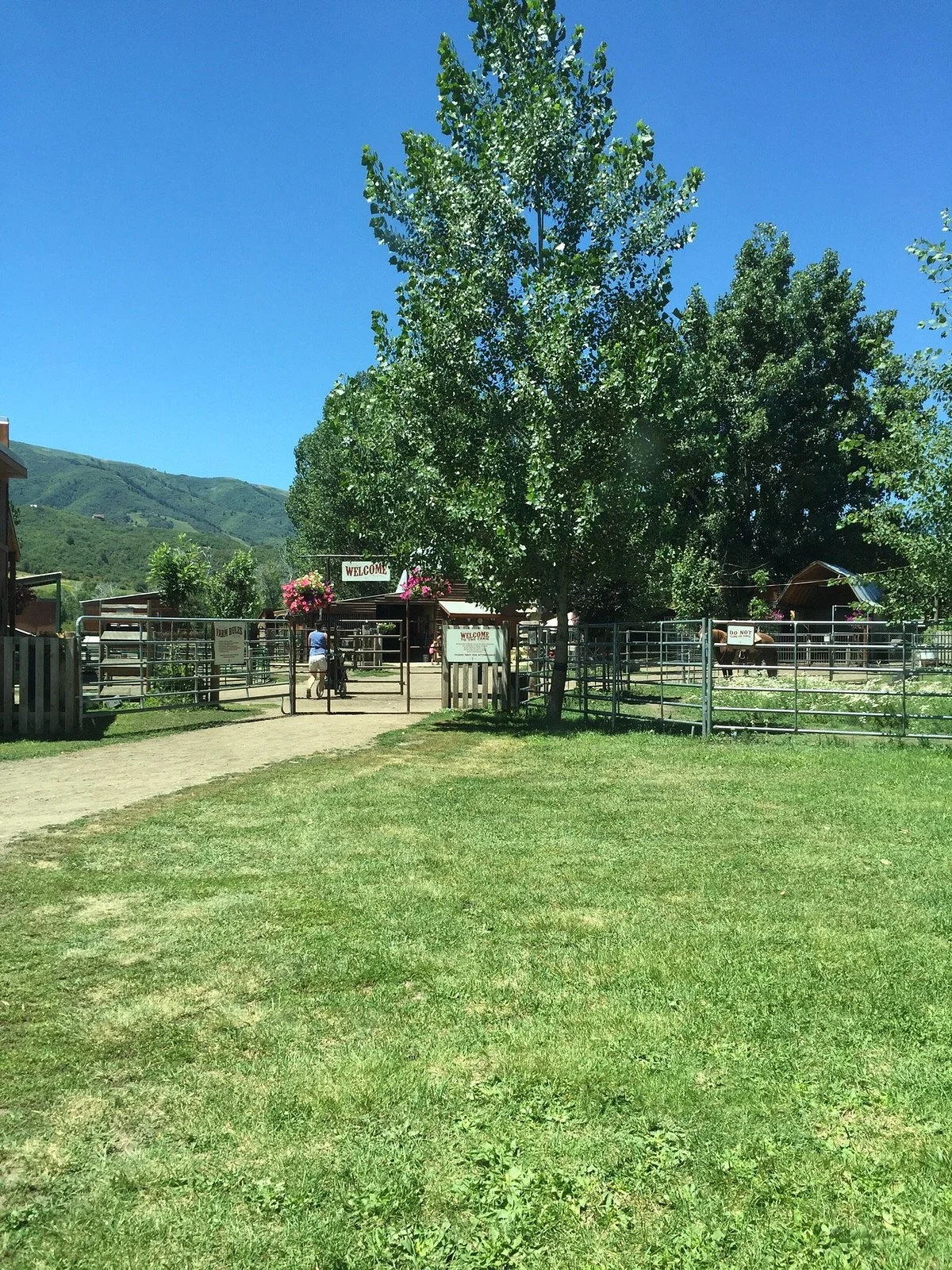 Carver's Cove Petting Farm
