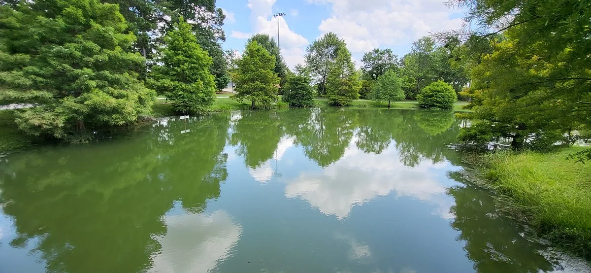 Palmetto Park