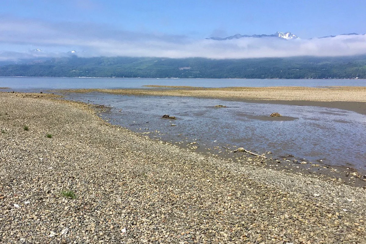 Guillemot Cove Nature Preserve