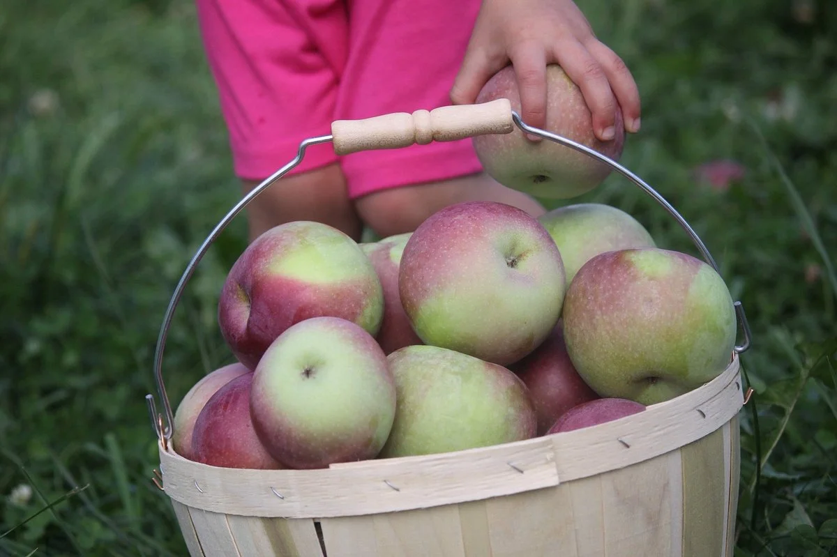 Park Hill Orchard