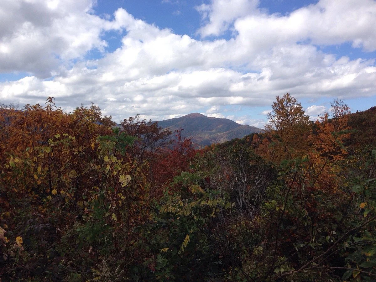 Cold Mountain