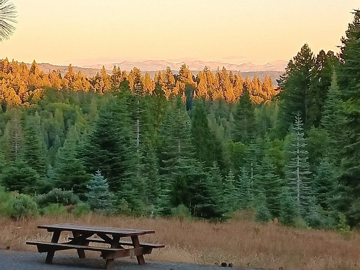 Snowy Peaks Tree Farm