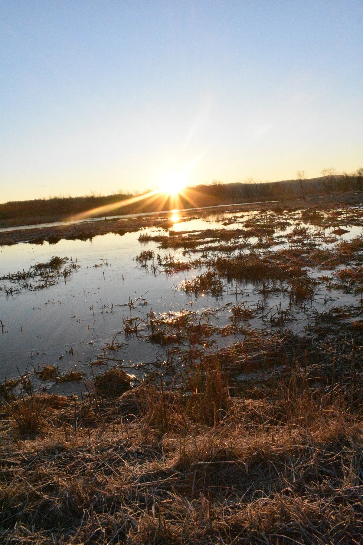 Killbuck Marsh Wildlife Area