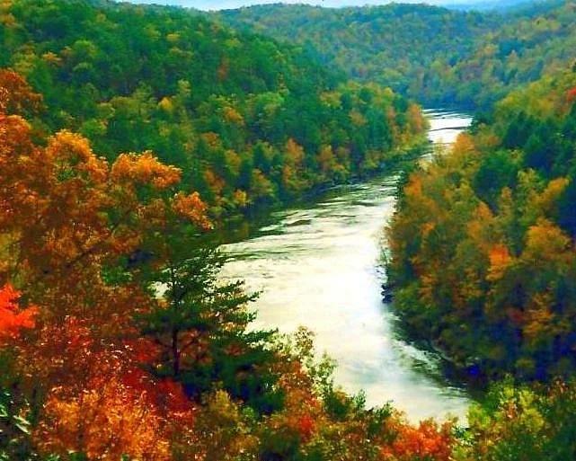 Obed Wild & Scenic River