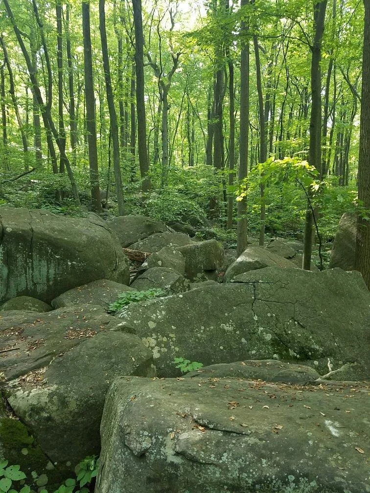 Top Rock Trail at Nockamixon State Park