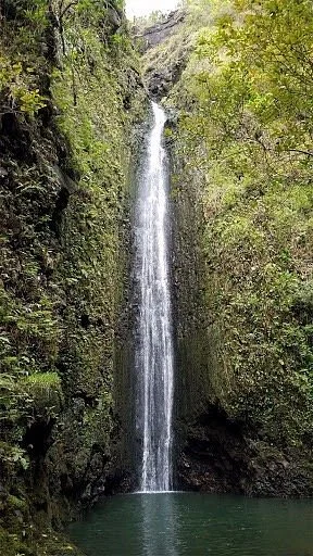 Makamakaole Trail