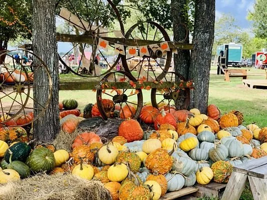 Blessington Farms
