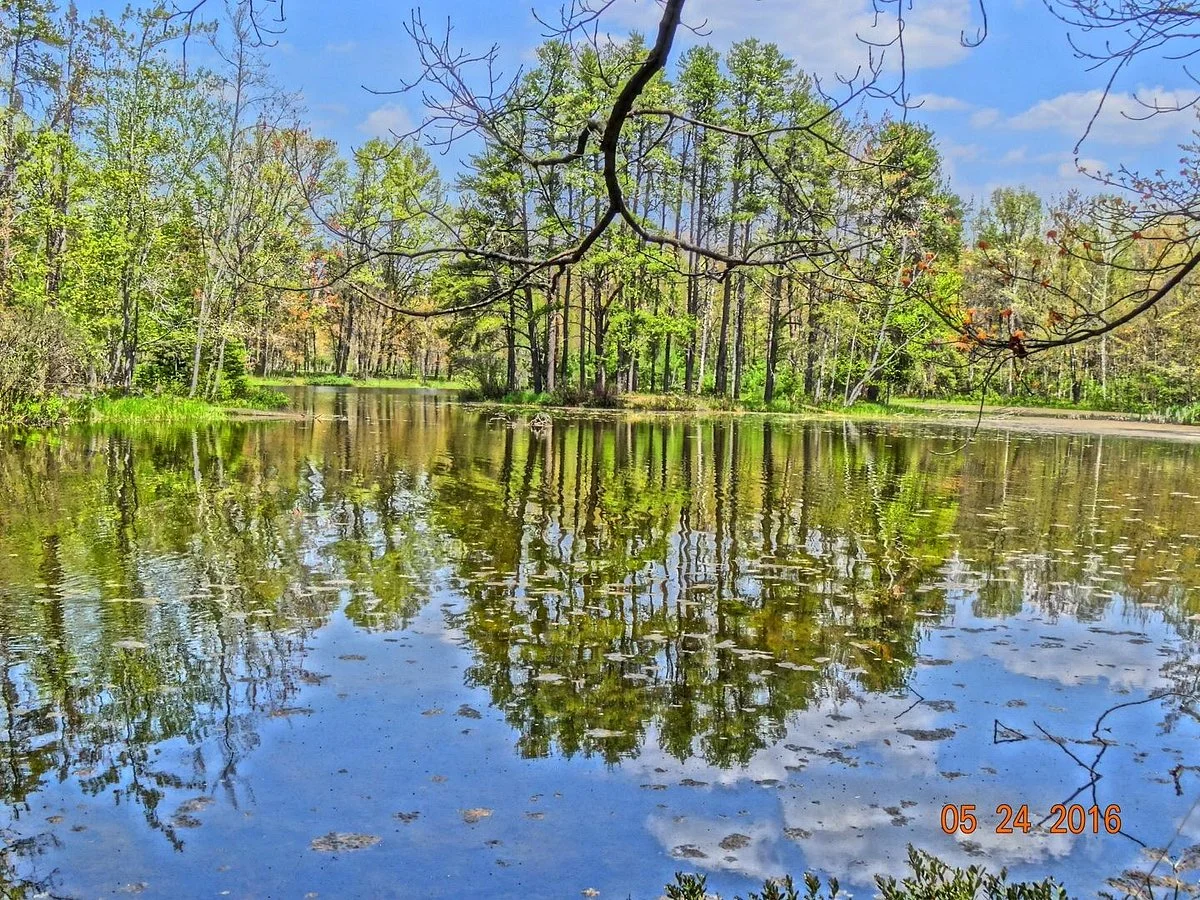 Hanson Hills Recreation Area