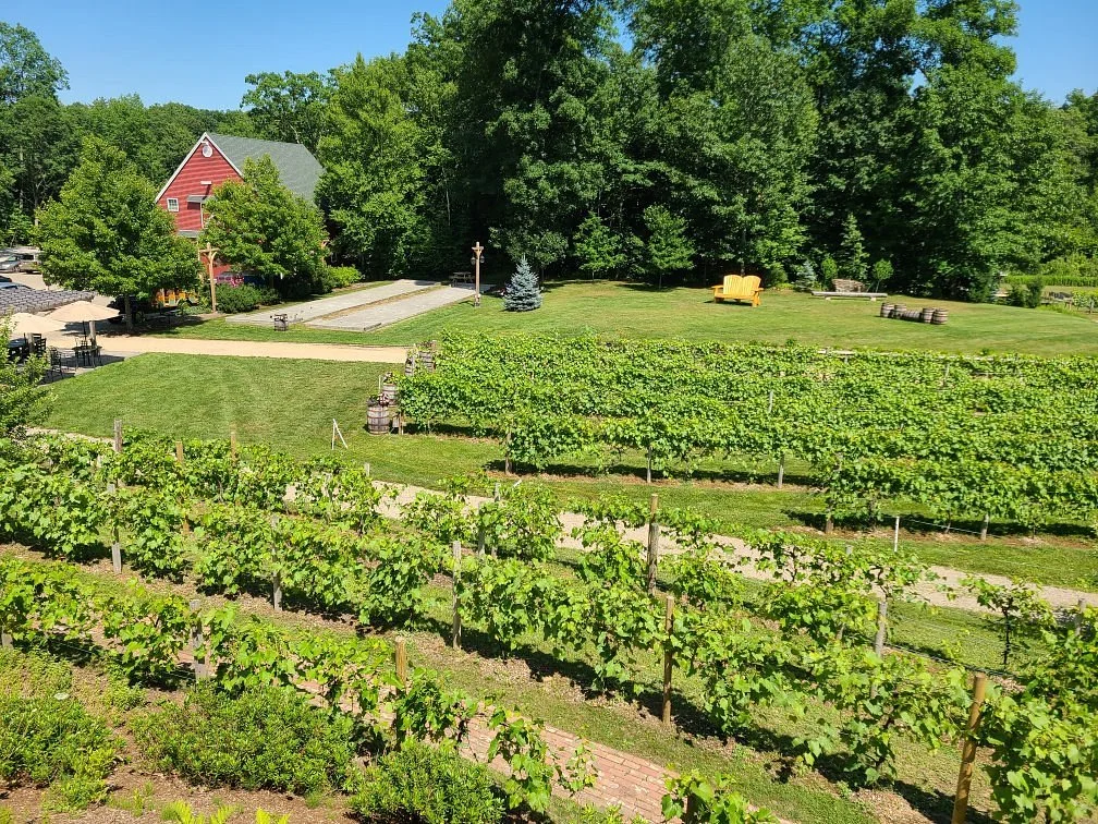 Zorvino Vineyards