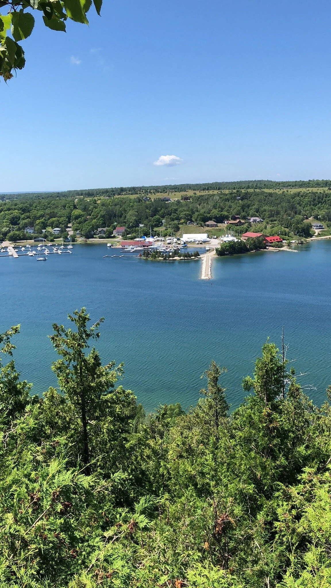 East Bluff Lookout