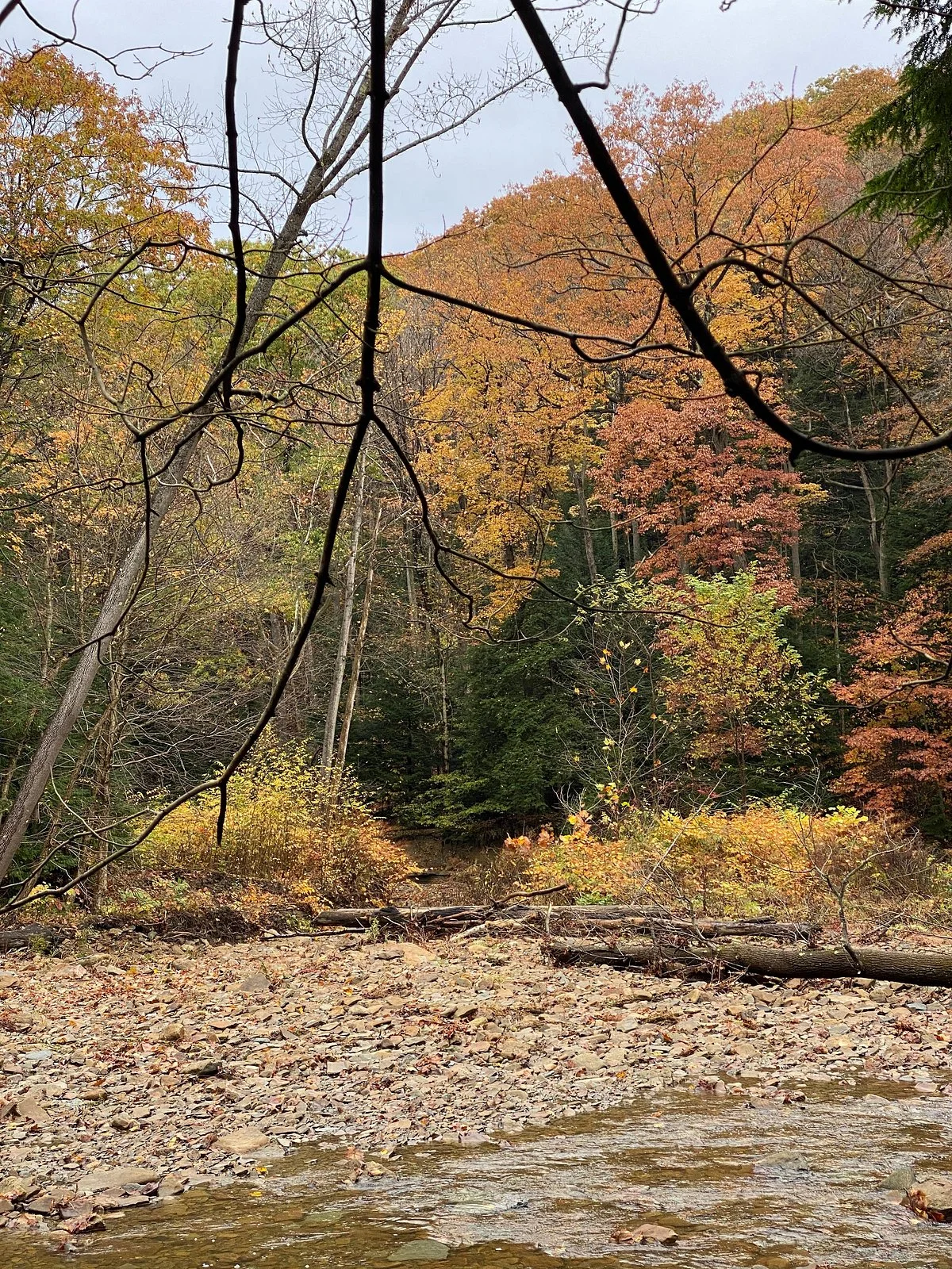Hell Hollow Wilderness Area