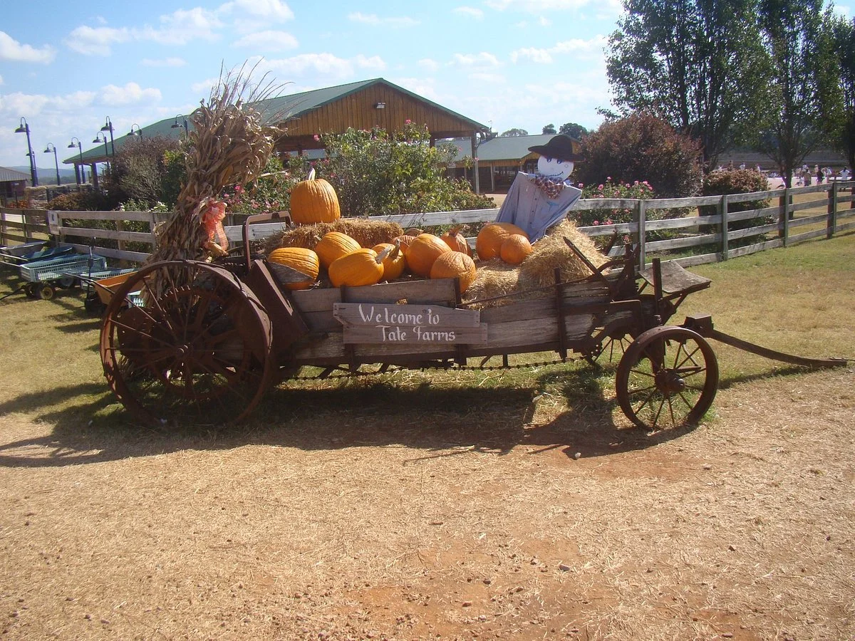 Tate Farms