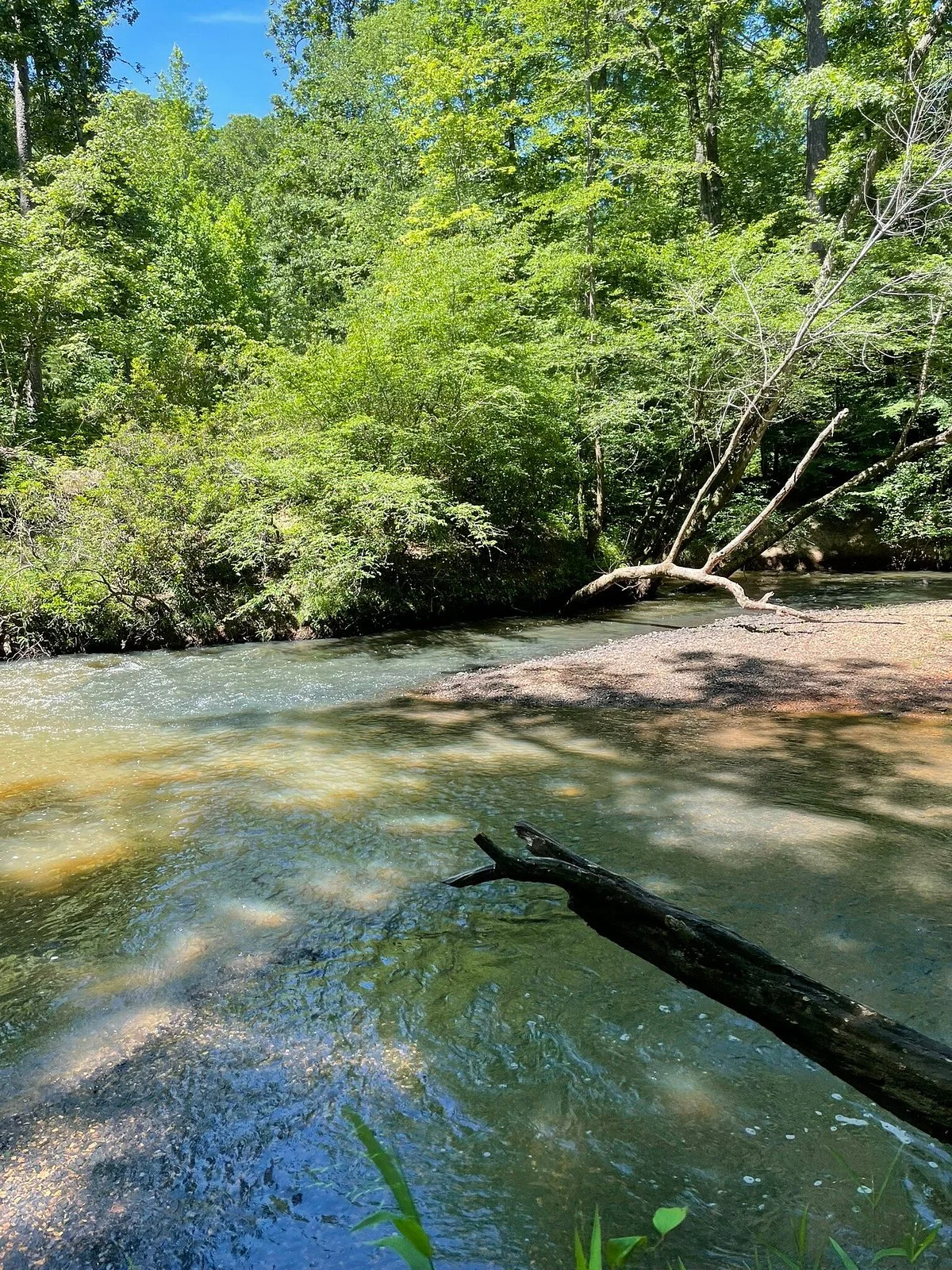 Medoc Mountain State Park