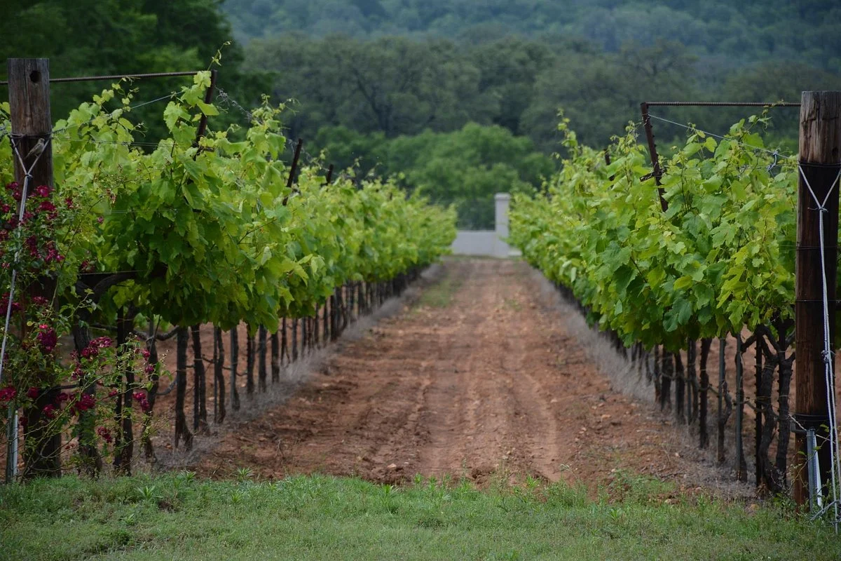 Fall Creek Vineyards, Tow