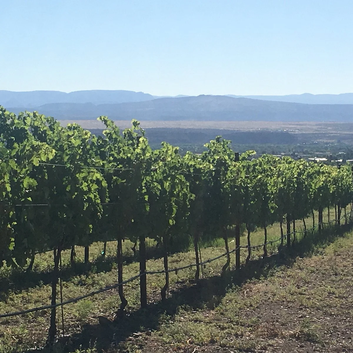 Southwest Wine Center