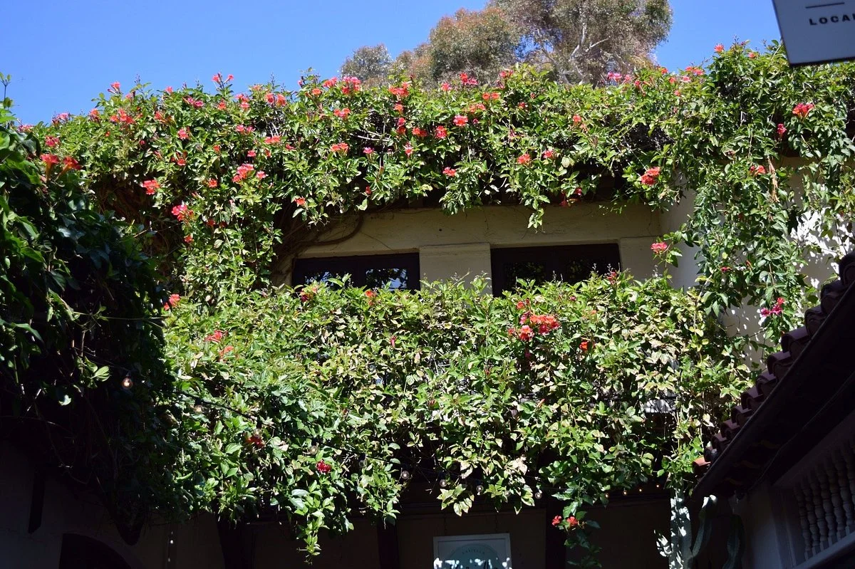 El Jardin Patio