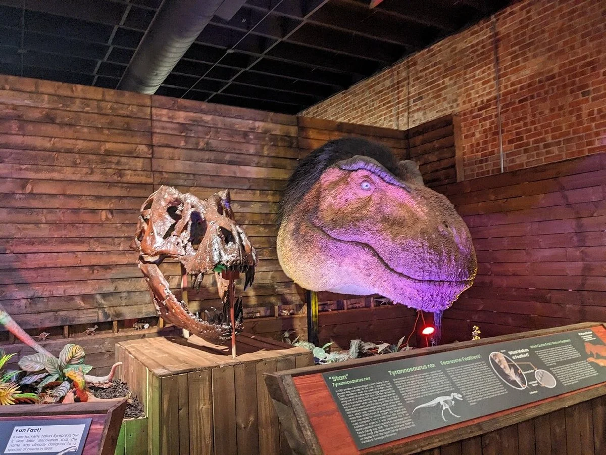 Whiteside Museum of Natural History