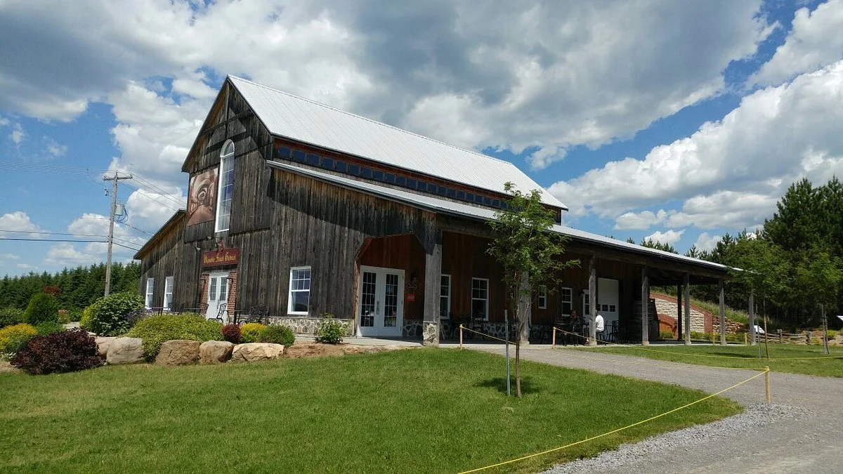Vignoble Saint-Gabriel