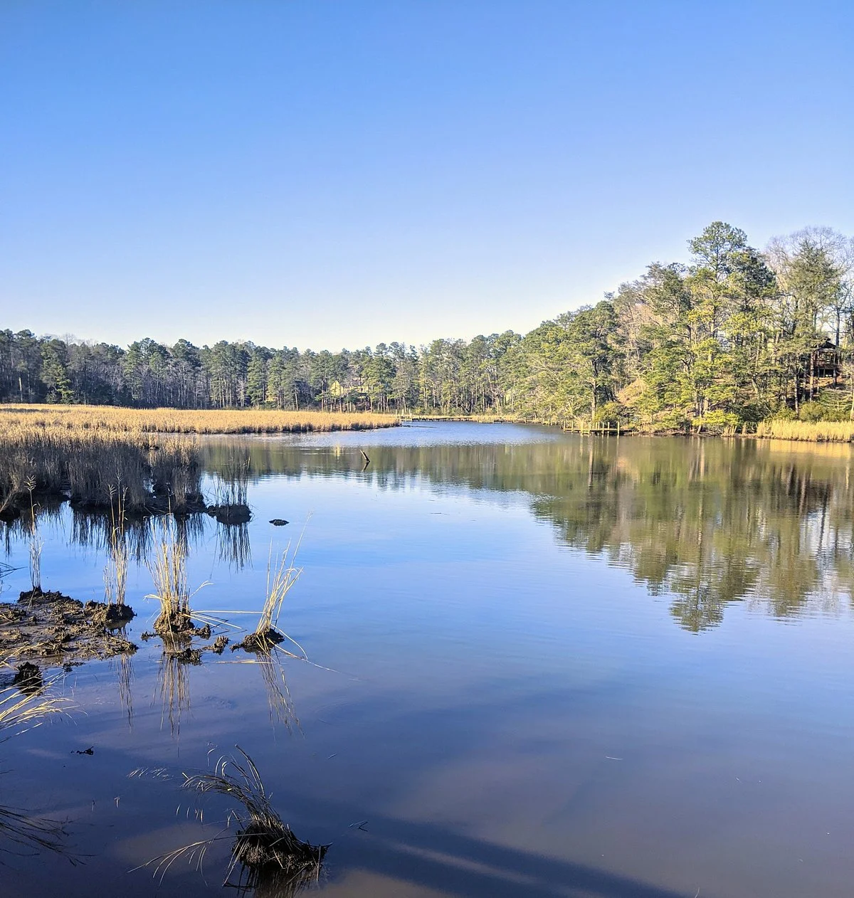 Bush Mill Stream Natural Area Preserve