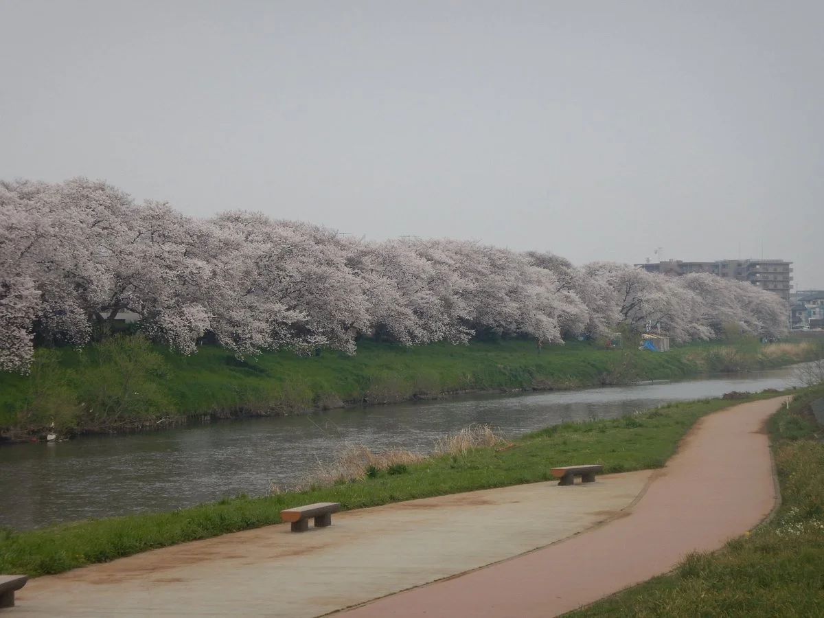 Motoarakawa Riverbank