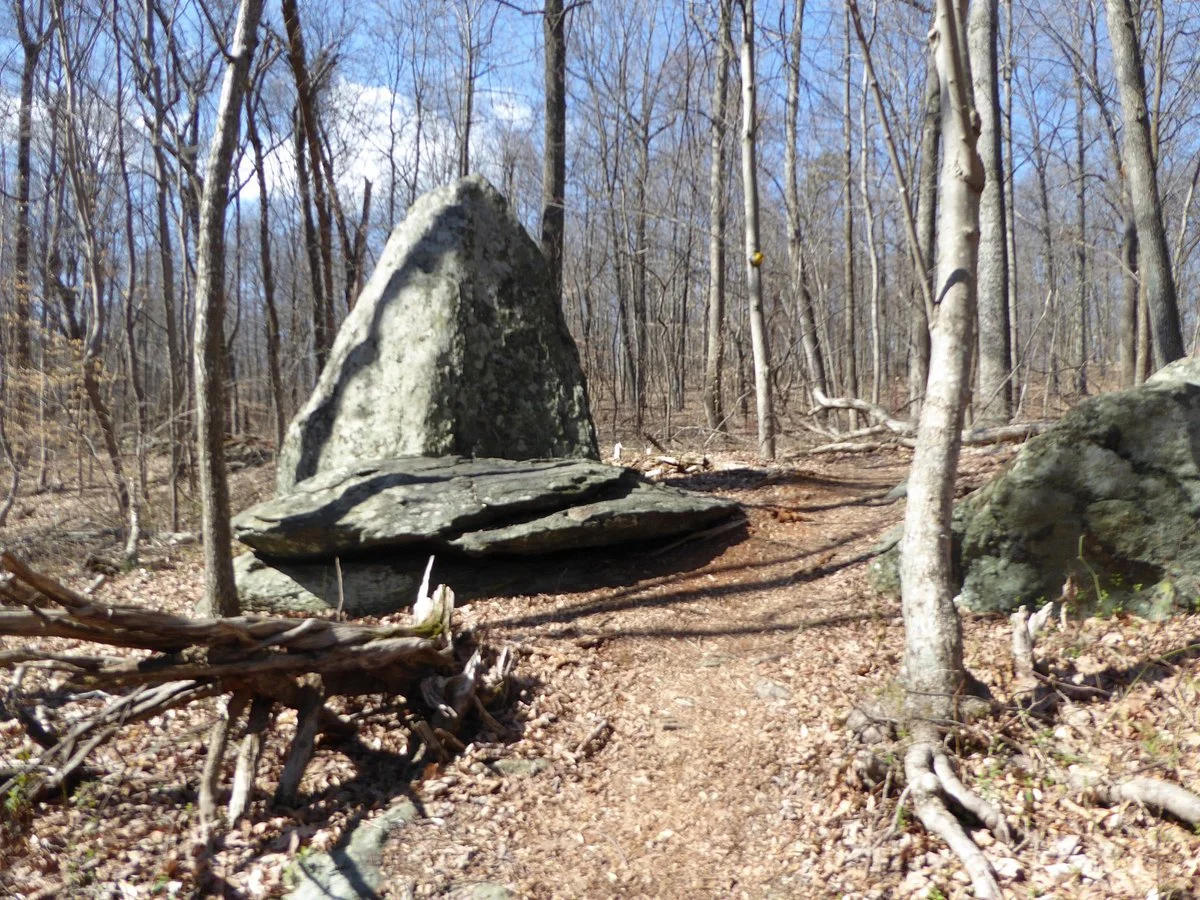 Wildcat Mountain