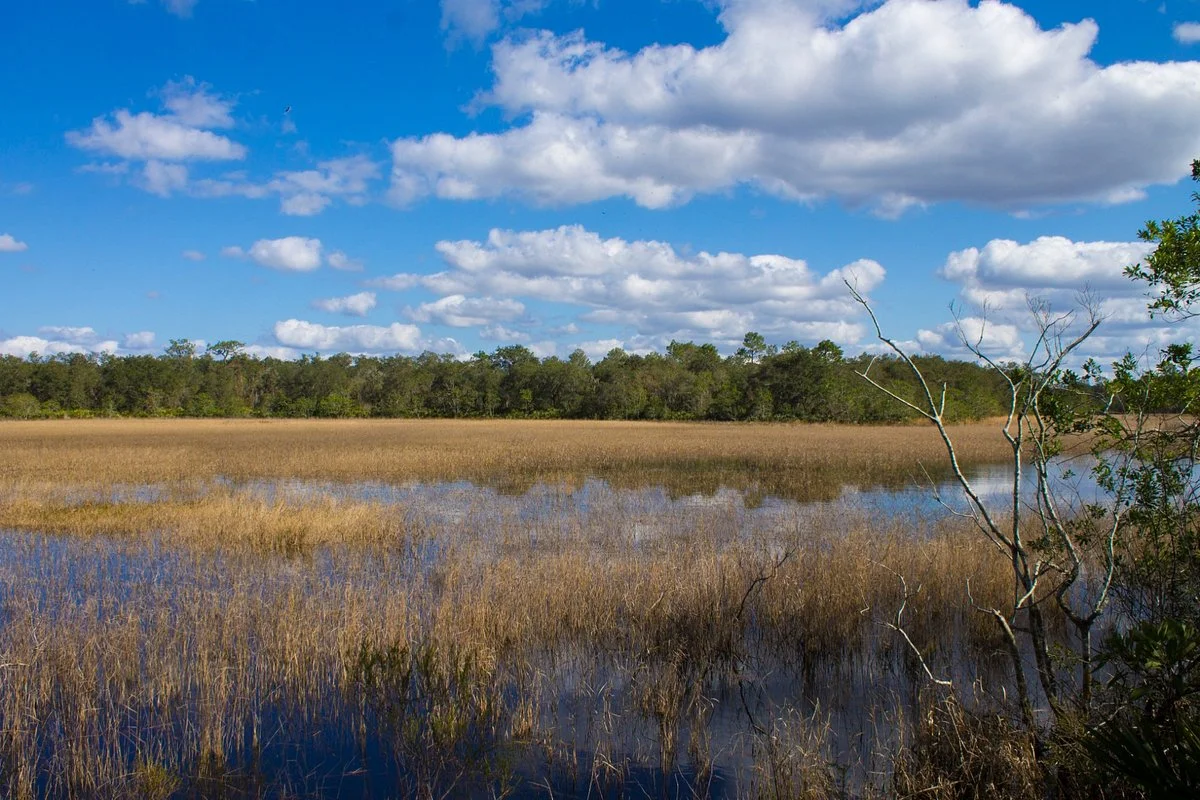 Tiger Creek Preserve