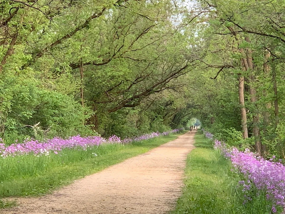Stone Bridge Trail