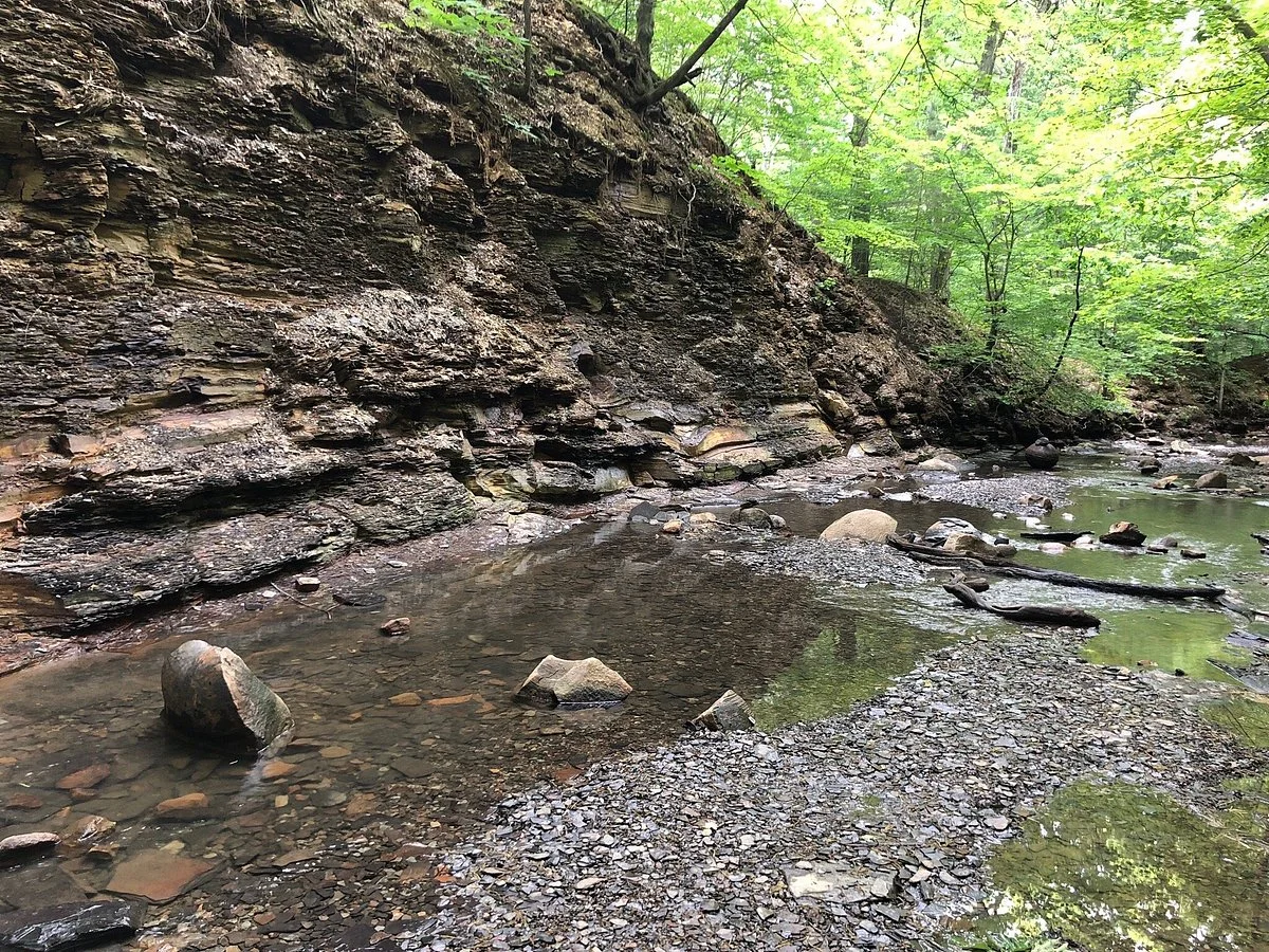 Shale Hollow Park