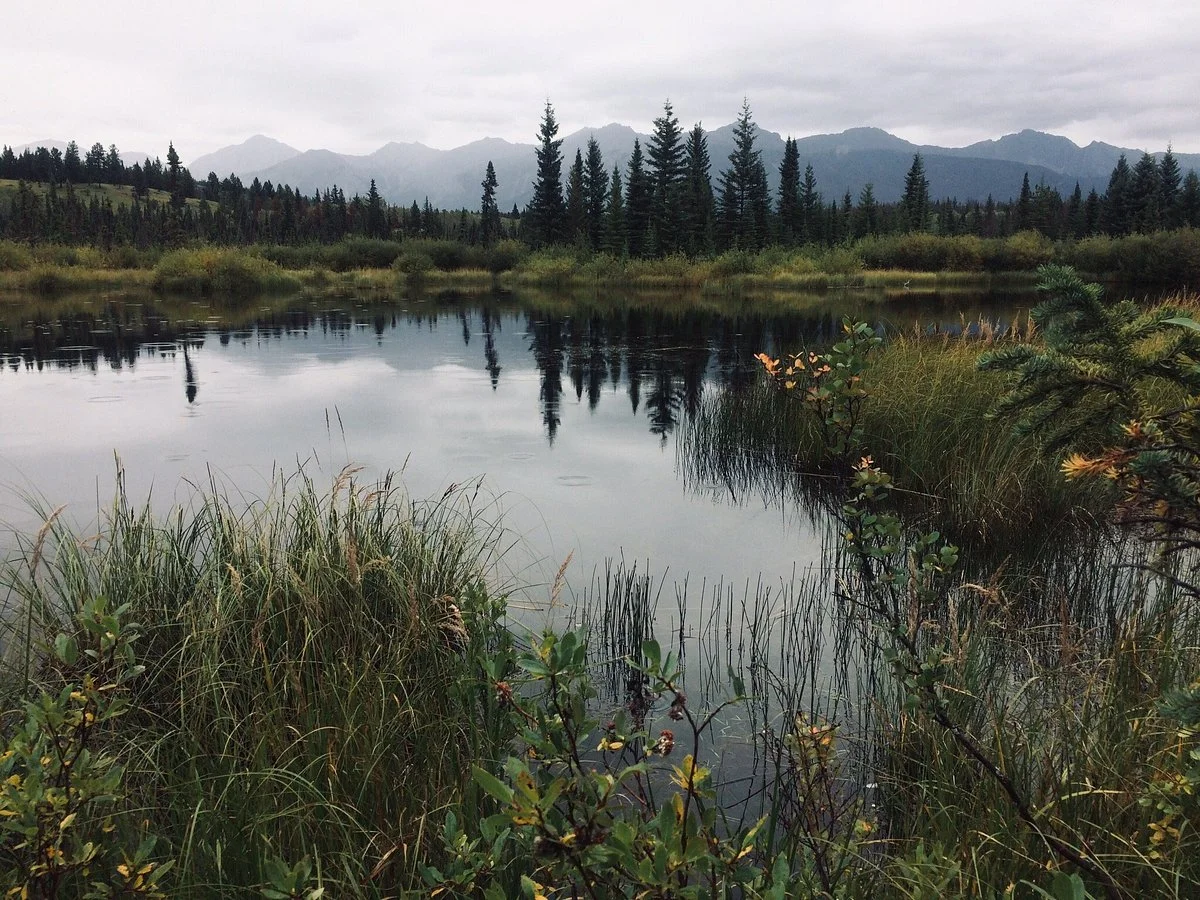 Mina - Riley Lakes Loop