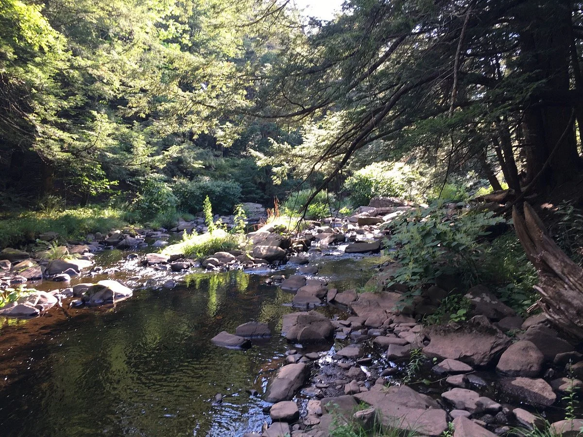 Huckleberry Rail Trail